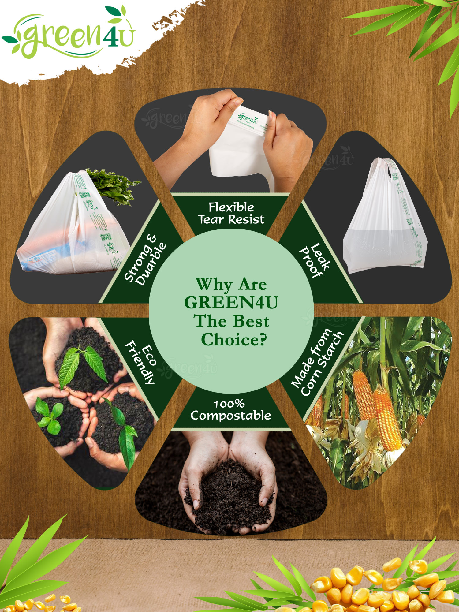 eco friendly carry bags